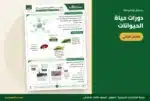 دورات حياة الحيوانات — ملزمة العلوم ثالث ابتدائي